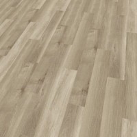 41817 Smoky Sycamore